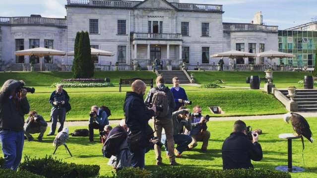 Eagles and photographers at Eagles Flying in Ballymote