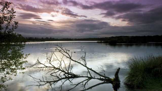 Lake at Drumpellier Country Park in Coatbridge