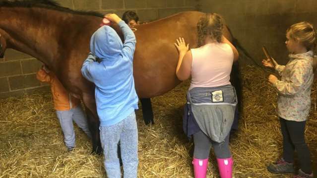 Kids grooming horse at Beechley Riding Stables in Liverpool