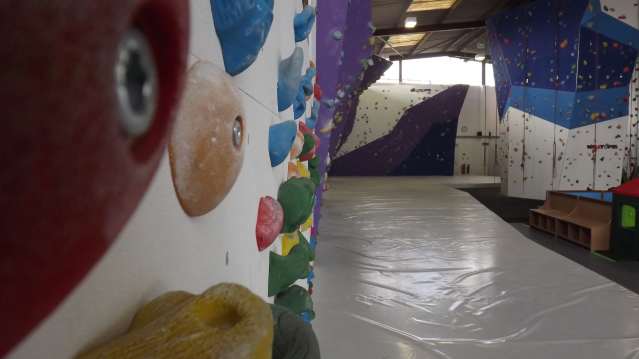 Climbing walls at Golden Gecko Climbing in Romsey