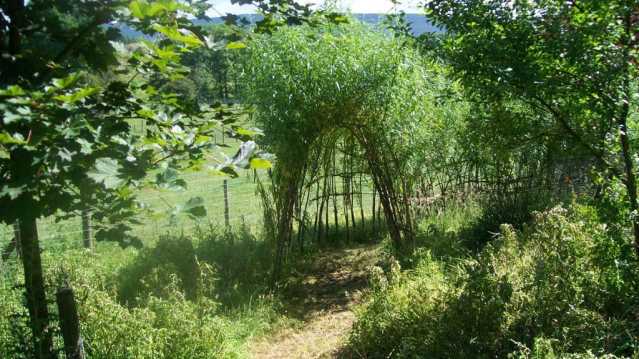 Walking path at Bowland Wild Boar Park in Preston