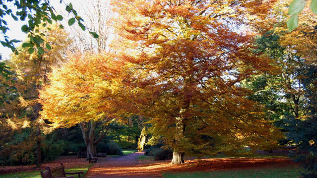 Autumn at RBGE and John Hope Gateway in Edinburgh