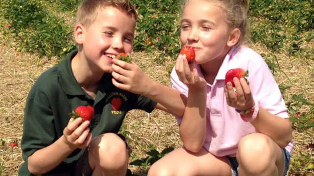 Kids at Willows Farm Fruit in Skegness