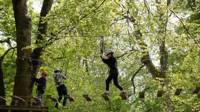 Kids on high rope course at Raven Tree Top Adventure in Skipton