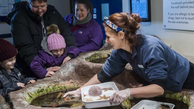 Family at touch pools at Macduff Marine Aquarium