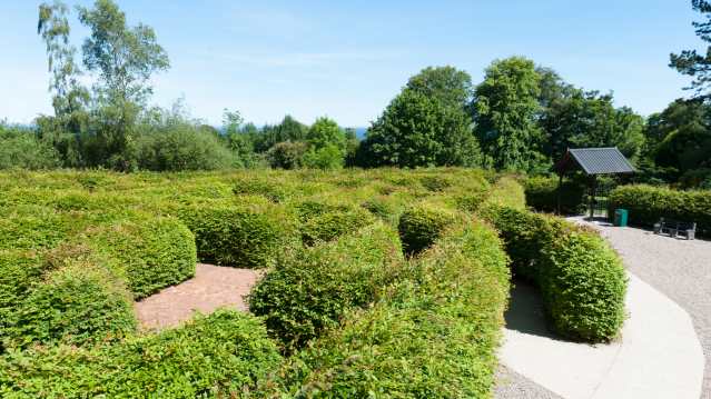 Maze garden at Carnfunnock Country Park in Larne