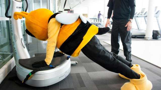 Bee mascot doing push ups at Aqua Vale Swimming and Fitness Centre in Aylesbury