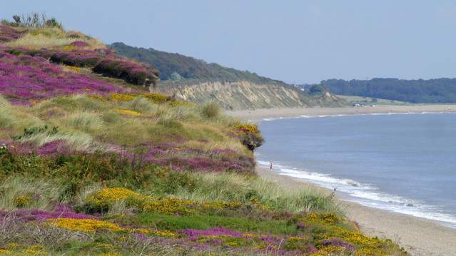 Clear day at Dunwich Heath Coastal Centre and Beach in Saxmundham