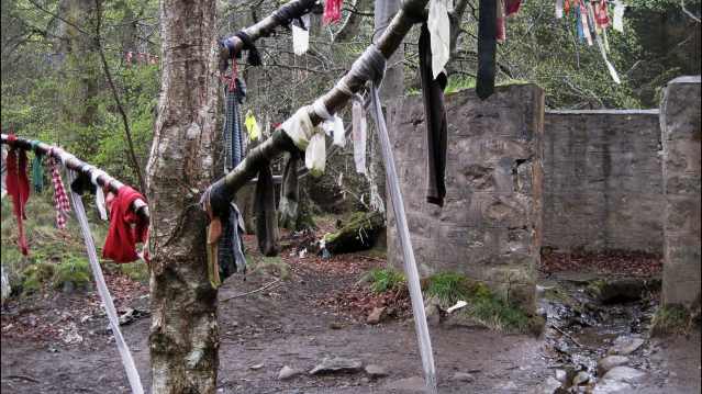 Clothes on tree at Culloden Wood in Inverness