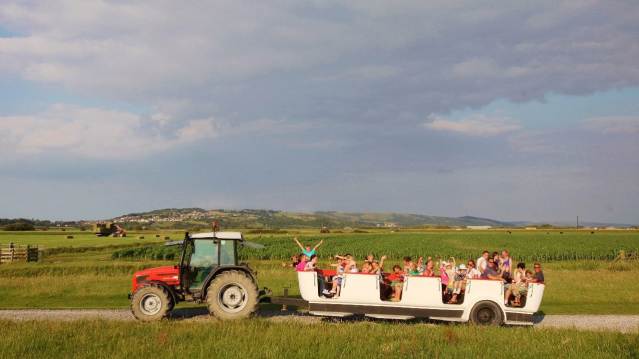 Kids on tractor ride at Warren Farm Holiday Centre in Burnham on Sea