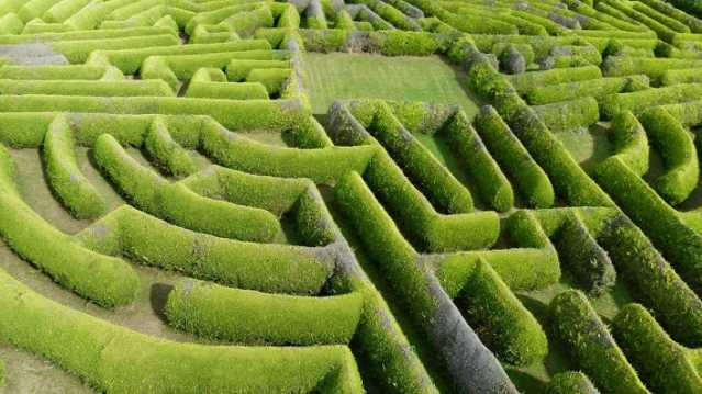 Hedge maze at Kildare Maze in Naas