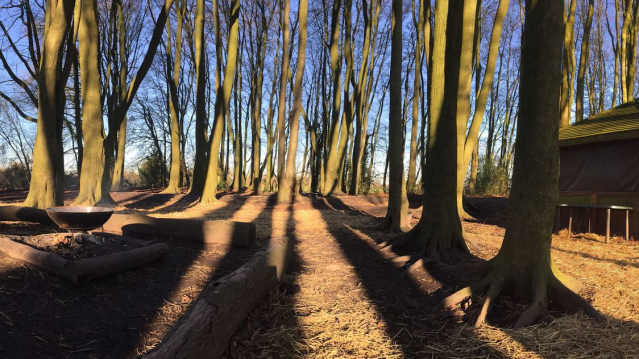 Path at Woodland Adventurers in Corsham