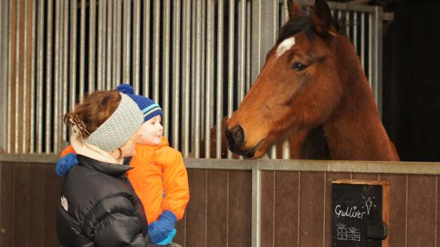 Mum and daughter by horse at Redwings Horse Sanctuary Aylsham in Norwich
