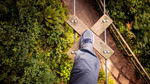 Go Ape Aberfoyle - Featured Image - 5