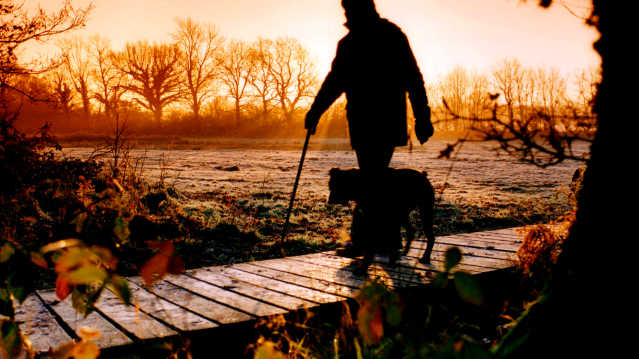 Man walking dog at Bedelands Farm Nature Reserve in Burgess Hill