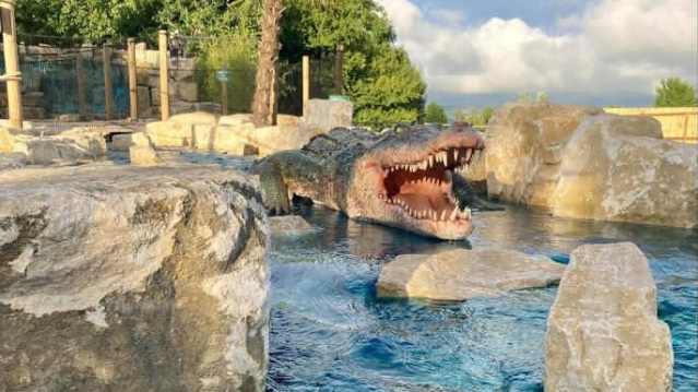 Congo Falls Adventure Golf - Featured Image - 2