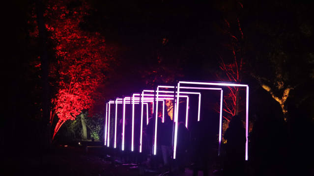 Enchanted Gardens Light Trail - Featured Image - 4