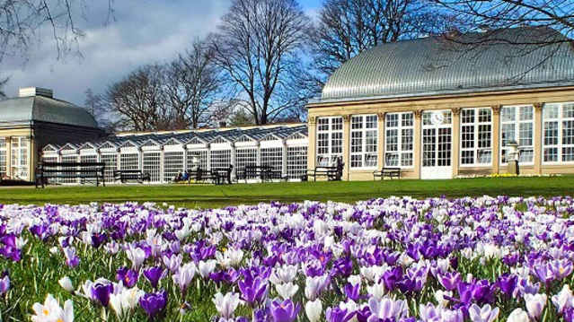 Sheffield Botanical Gardens - Featured Image - 1