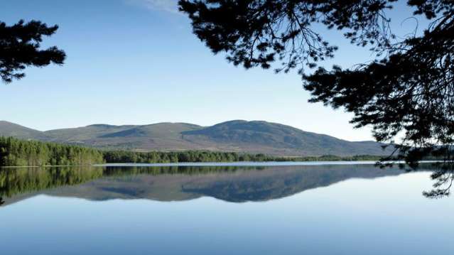 Loch Garten Osprey Centre - Featured Image - 1