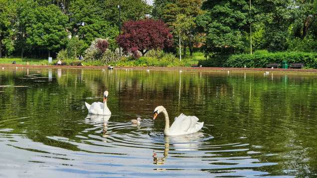 Roker Park - Featured Image - 2