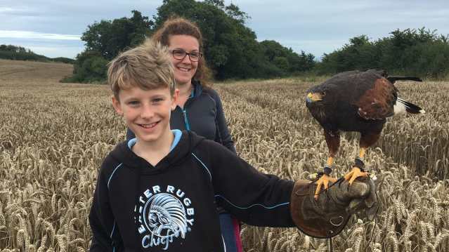 Hawkridge Bird of Prey Centre - Featured Image - 2