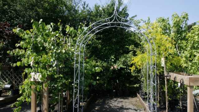 Marlow Garden Centre - Featured Image - 2