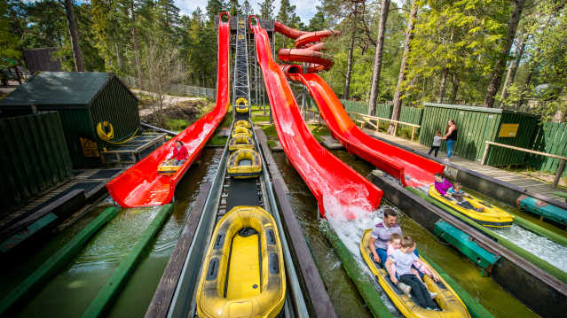 Landmark Forest Adventure Park - Featured Image - 1