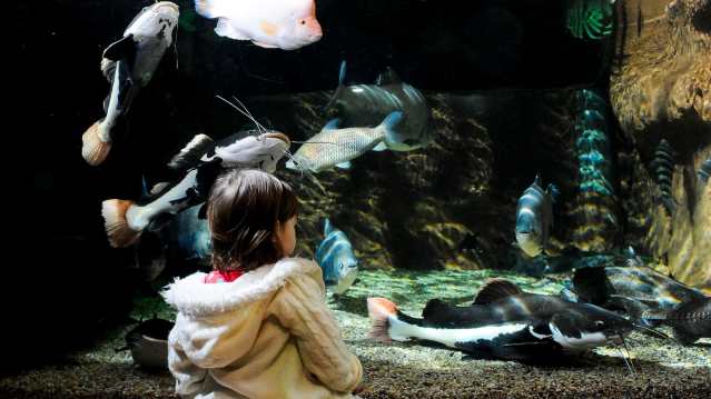 Deep Sea World - Featured Image - 3