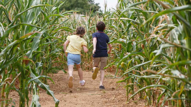 Millets Farm Centre - Featured Image - 1