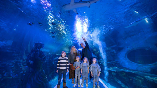 SEA LIFE Birmingham - Featured Image - 3