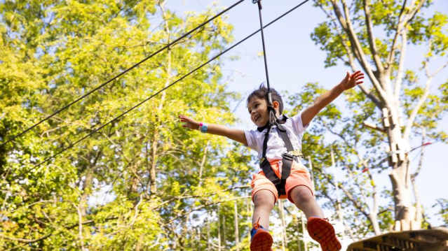 Go Ape Dalkeith - Featured Image - 5