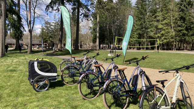 Alice Holt Forest Bike Bike Hire - Featured Image - 3