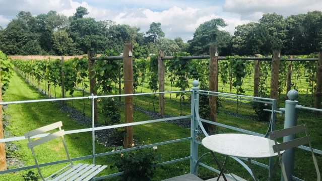 The Stables Tearoom at Carlton Towers Vineyard - Featured Image - 2