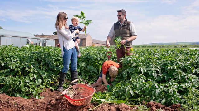 Westerton Farmers - Featured Image - 1