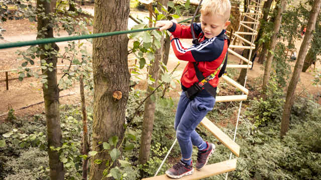 Go Ape Southampton - Featured Image - 1