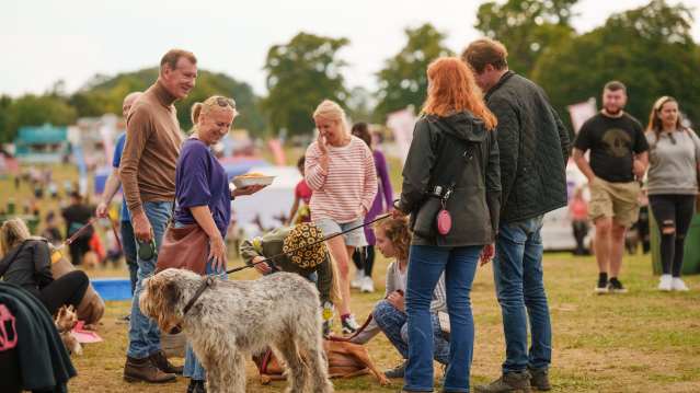 DogFest at Tatton Park - Featured Image - 6