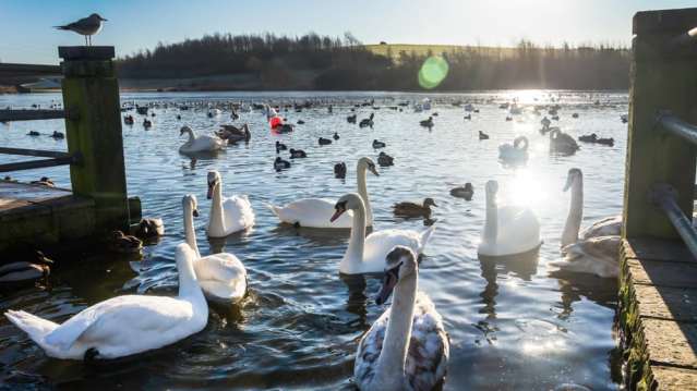 Herrington Country Park - Featured Image - 1