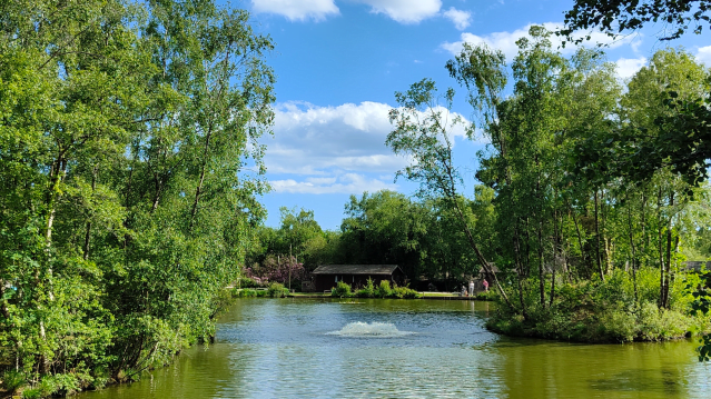 Warmwell Fisheries - Featured Image - 2