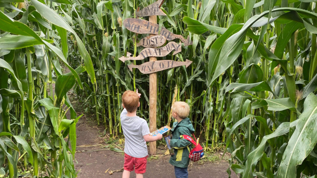 Lichfield Maize Maze - Featured Image - 1