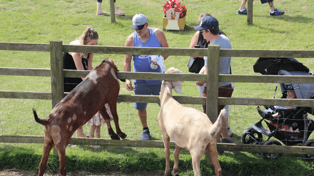 Fairytale Farm - Featured Image - 11