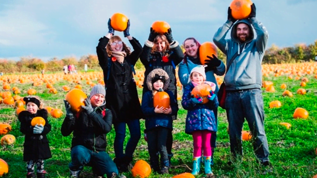 Pumpkin Picking at National Forest Adventure Farm - Featured Image - 1