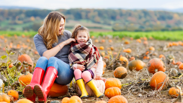 Ty Poeth Farm - Featured Image - 1