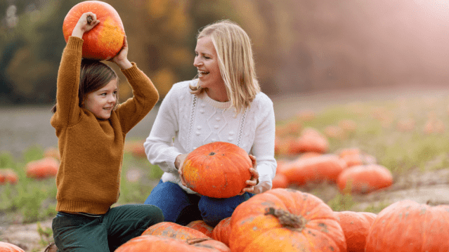 Billy Bob's Farm - Featured Image - 1