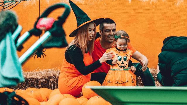 Pumpkin Picking at Heather Cattows PYO Fruit Farm - Featured Image - 2
