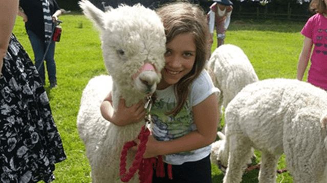 Lucky Tails Alpaca Farm - Featured Image - 1