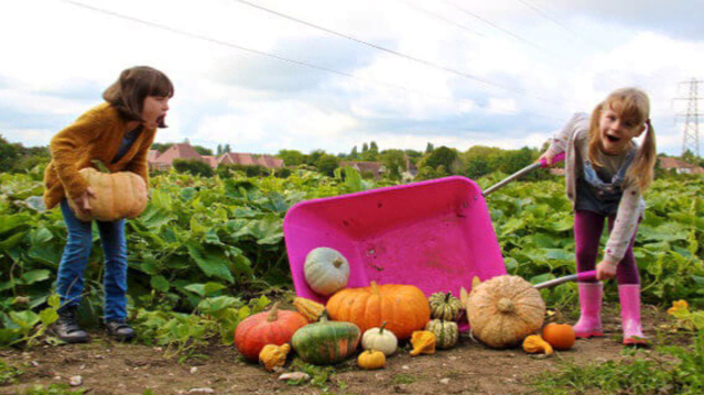 Pumpkin Moon Farms - Featured Image - 2