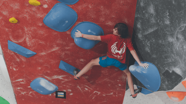 Red Spider Climbing - Featured Image - 1