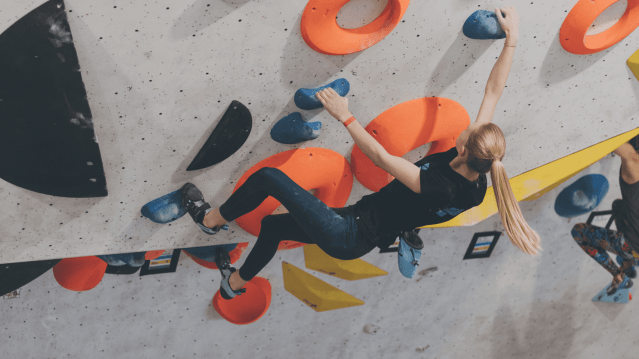 Red Spider Climbing - Featured Image - 4