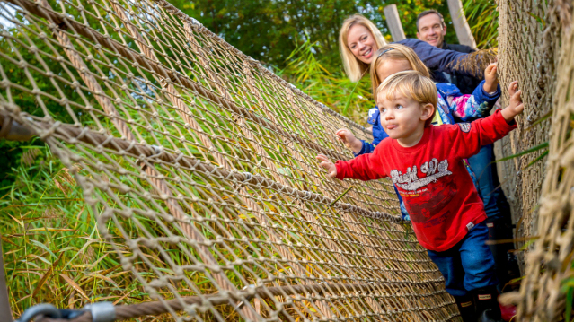 WWT London wetland centre - Featured Image - 10