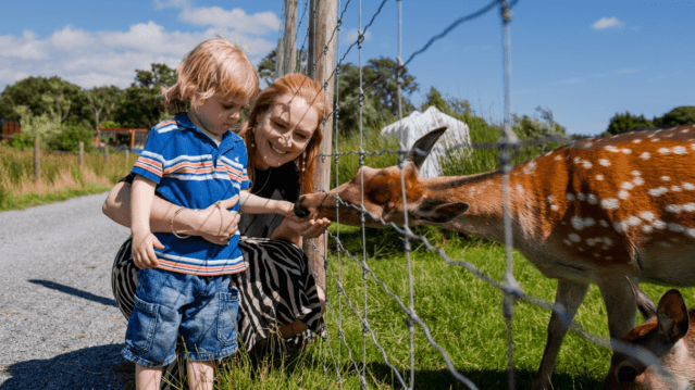 Ark Open Farm - Featured Image - 7